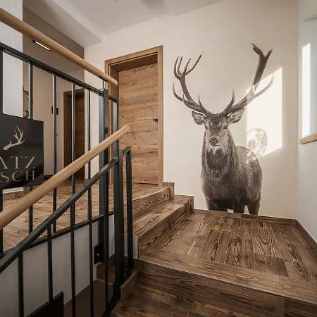 Platzhirsch & Apartamento