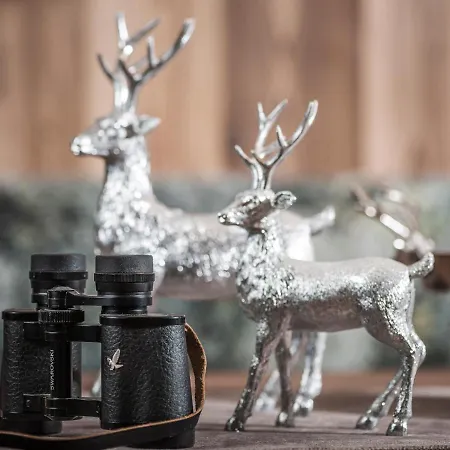 Platzhirsch & Διαμέρισμα Mayrhofen