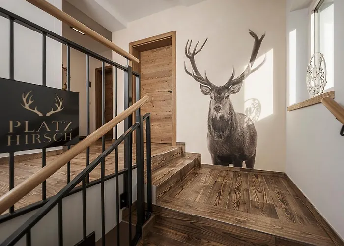 Platzhirsch & Apartman