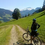 Апартаменты Platzhirsch & *